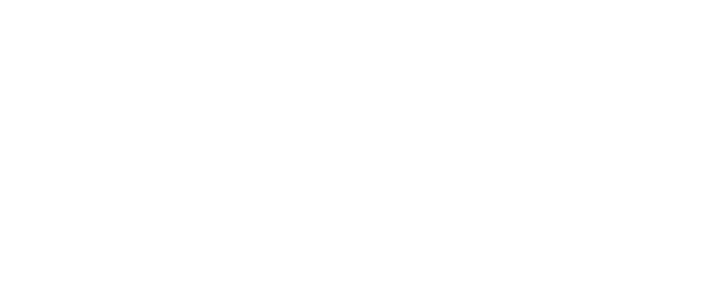 海龟伴侣